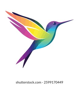 vector illustration of colourful hummingbird