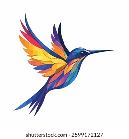 vector illustration of colourful hummingbird
