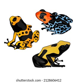 Vector illustration of a colourful little frog