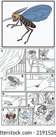 Ilustración vectorial de una historieta sobre los mosquitos. Historietas divertidas, a veces hay un mosquito enfurecido. Un mosquito morder. Gris pálido en el fondo.