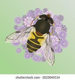 A vector illustration of a common drone fly or an eristalis tenax on a purple flower. The background is a soft green gradient