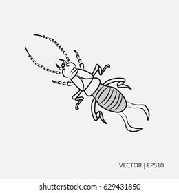 Vector illustration: Common earwig. Biting worm. Drawings for children, coloring pages