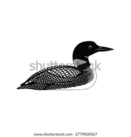Vector illustration of a Common Loon in black and white, showcasing its distinctive spotted pattern and sleek design on a plain background.