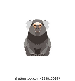 Vector illustration of a common marmoset monkey with white ear tufts isolated on white background