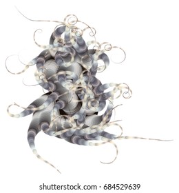 Vector illustration of a complex geometric structure consisting of multicolored circles of different size and transparency. Strange alien object with swirls at the end.