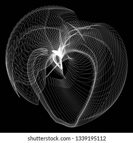 Vector illustration of a complex wireframe structure formed by the interweaving of smoothly curved lines against black background.