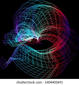 Vector illustration of a complex wireframe structure formed by the interweaving of smoothly curved lines against black background.