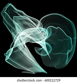 Vector illustration of a complex wireframe structure formed by the interweaving of smoothly curved lines against black background