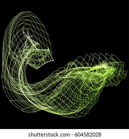 Vector illustration of a complex wireframe structure formed by the interweaving of smoothly curved lines against black background