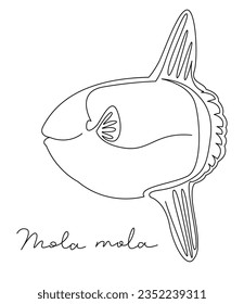 A vector illustration composed of simple lines depicting a Mola mola.
