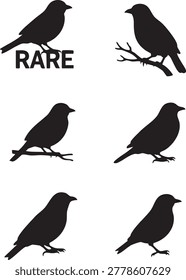 A vector illustration composed of six black silhouette images of small birds. 