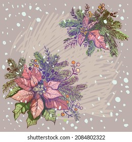 Vector illustration , a composition of a bouquet of Christmas star, berries and Christmas tree branches for the design of cards and greetings for Christmas and the New Year. Christmas star