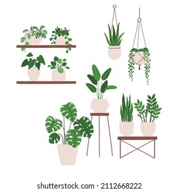 Vector illustration of a composition of houseplants in pots on shelves and stands. Isolated on white background