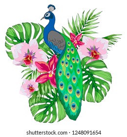 vector illustration, composition of tropical plants and peacock
