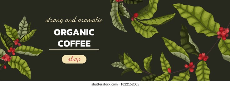 Vector illustration concept of advertising coffee with branches and coffee berries in cartoon style. A horizontal banner on a green background about organic grown coffee.