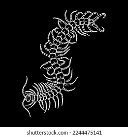 vector illustration of concept centipede