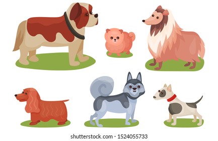 Vector Illustration Concept With Dogs Breed Isolated On White Background