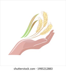 Ilustración vectorial de un concepto de orejas de trigo o óxido sobre la palma de una persona en forma de seguridad y protección sobre un fondo blanco aislado