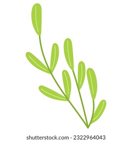 Vector illustration of Concept of ecology, zero waste and sustainability for print ,design, greeting card,sticker,icon.