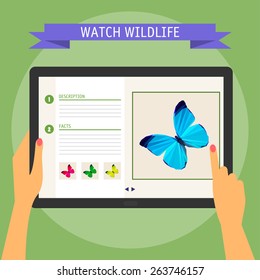 Vector illustration concept of hands holding modern digital tablet and pointing on a screen with website about wildlife. Flat design style, isolated on soft green colored background with slogan