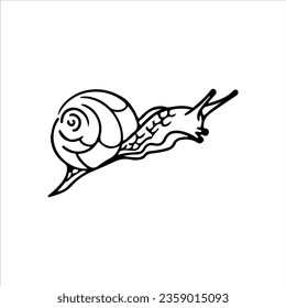 vector illustration of conch outline