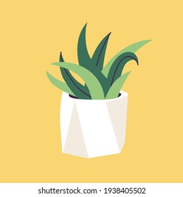 Vector illustration concrete pot with succulent plants. Stylish home decor in trendy scandinavian style.