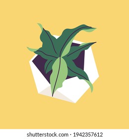 Vector illustration concrete pot with succulent plants. Stylish home decor in trendy scandinavian style.