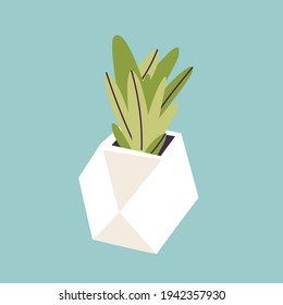 Vector illustration concrete pot with succulent plants. Stylish home decor in trendy scandinavian style.