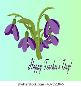 Vector illustration congratulations on the Day of the Teacher. Beautiful background with spring flowers crocuses.