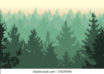 Vector illustration of Coniferous Forest.