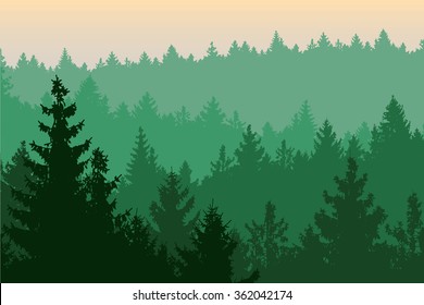 Vector illustration of Coniferous Forest.