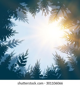 Vector illustration of Coniferous Forest. Sky design. Vector illustration