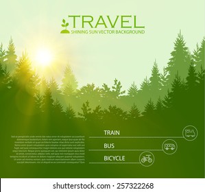 Vector illustration of Coniferous Forest. Travel infographic. Vector illustration