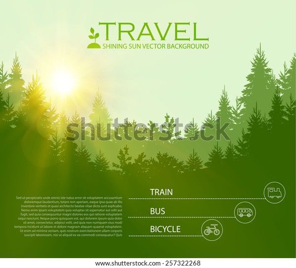 針葉樹林のベクターイラスト 旅行インフォグラフィック ベクター