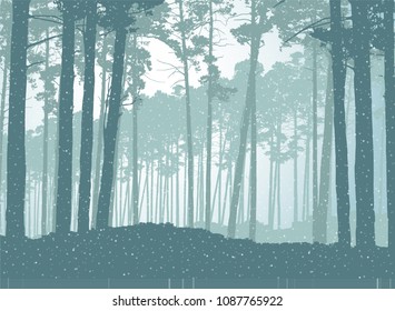 Vector illustration of a coniferous forest in winter with falling snow