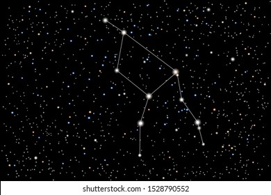 Vector illustration of the constellation Camelopardalis (Giraffe) on a starry black sky background. The astronomical cluster of stars in the constellation in the northern celestial hemisphere. 