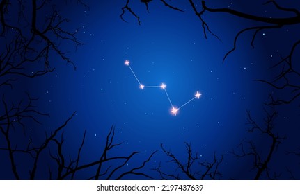 Ilustración vectorial de la constelación Cassiopeia sobre el fondo de un cielo estrellado y ramas de árboles.Recogida del esquema de constelación