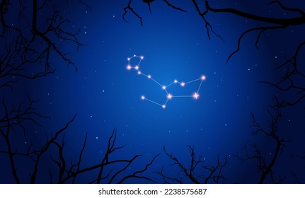 Vector illustration of constellation Cetus on the background of a starry sky and tree branches. Constellation scheme collection