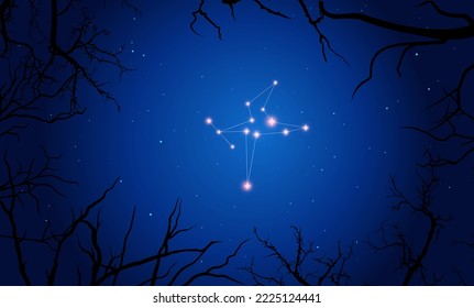 Vector illustration of constellation Columba on the background of a starry sky and tree branches. Constellation scheme collection