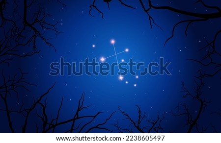 Vector illustration of constellation Crux on the background of a starry sky and tree branches. Constellation scheme collection