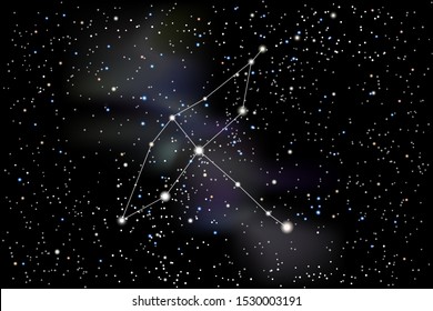 Vector illustration of the constellation Cygnus (Swan) on a starry black sky background. The astronomical cluster of stars in the constellation in the northern celestial hemisphere and the milky way
