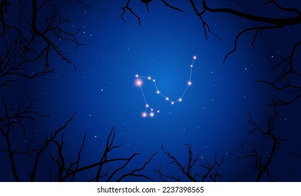 Vector illustration of constellation Dracoon the background of a starry sky and tree branches. Constellation scheme collection