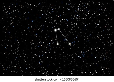 Vector illustration of the constellation Equuleus (Pony) on a starry black sky background. The astronomical cluster of stars in the constellation in the northern celestial hemisphere. 