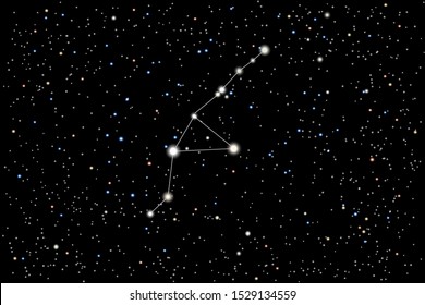 Vector illustration of the constellation Grus (crane) on a starry black sky background. The astronomical cluster of stars in the Southern Celestial Hemisphere 