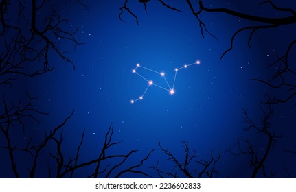 Vector illustration of constellation Grus on the background of a starry sky and tree branches. Constellation scheme collection