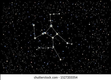 Vector illustration of the constellation  Hercules on a starry black sky background. The astronomical cluster of stars in the constellation in the northern  hemisphere. 