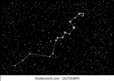 Vector illustration of the constellation Hydra (sea serpenton) a starry black sky background. The astronomical cluster of stars in the Southern Celestial Hemisphere. 