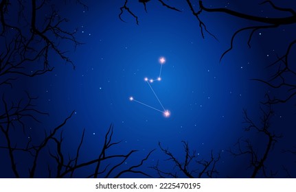 Vector illustration of constellation Hydrus on the background of a starry sky and tree branches. Constellation scheme collection