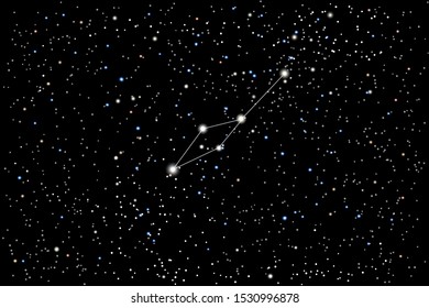 Vector illustration of the constellation Leo Minor (lesser Lion) on a starry black sky background. The astronomical cluster of stars in the constellation in the northern celestial hemisphere. 