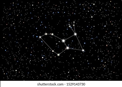 Vector illustration of the constellation Lepus (hare) on a starry black sky background. The astronomical cluster of stars in the Southern Celestial Hemisphere 